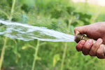 Mag je zwembadwater gebruiken voor planten? Dit is het veilige antwoord - Buitiqo